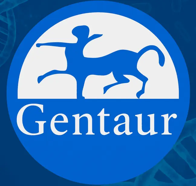 RAD26L Peptide - N-terminal region - 100  µg