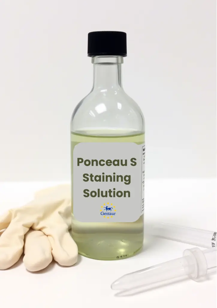 Ponceau S Protein Staining Solution 