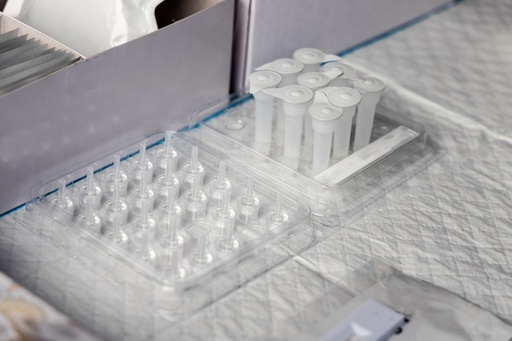 [GEN - BXS1006-6] Stemness Genes